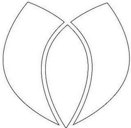 V logo