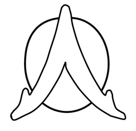 V logo
