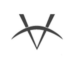 V logo