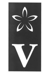 V logo