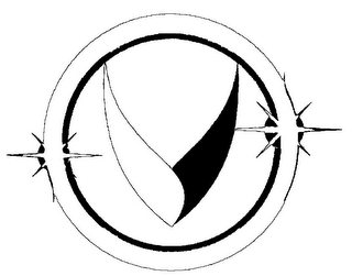 V logo