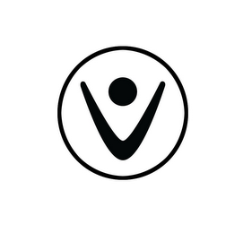 V logo