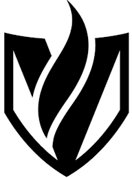 V logo