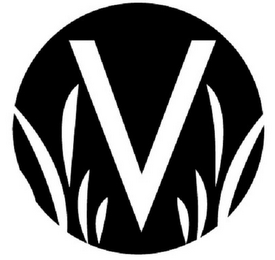 V logo