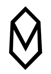 V logo
