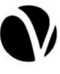 V logo