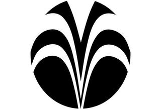 V logo