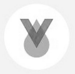 V logo
