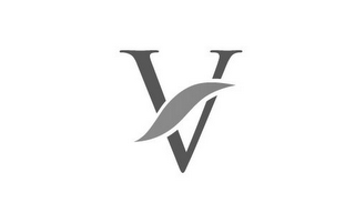 V logo