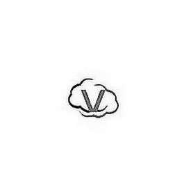 V logo