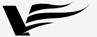 V logo