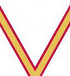 V logo