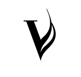 V logo