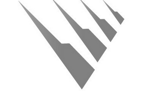 V logo