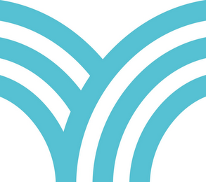 V logo