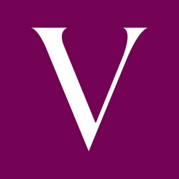 V logo