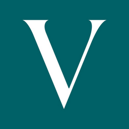 V logo