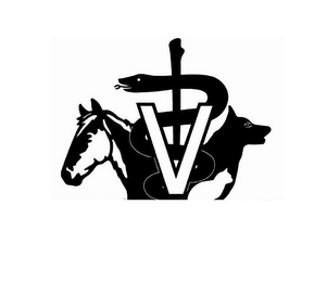 V logo