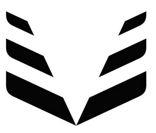 V logo