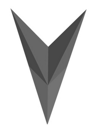 V logo