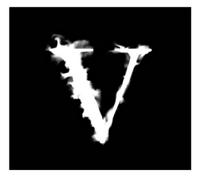 V logo