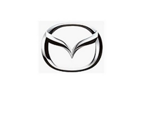 V logo