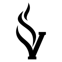 V logo