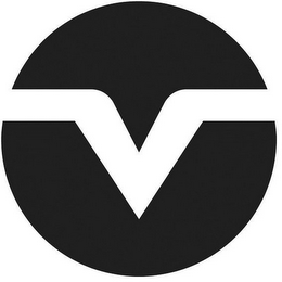 V logo