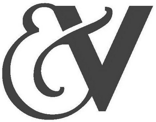 V logo