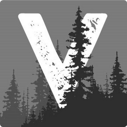 V logo