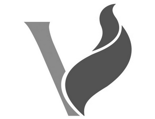 V logo
