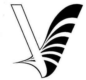 V logo