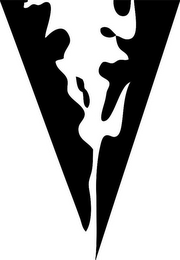 V logo
