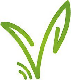 V logo