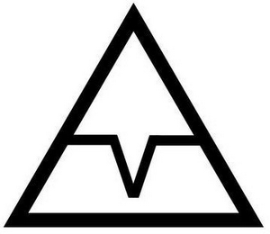 V logo