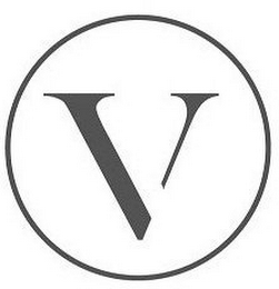 V logo
