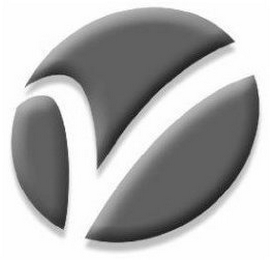 V logo