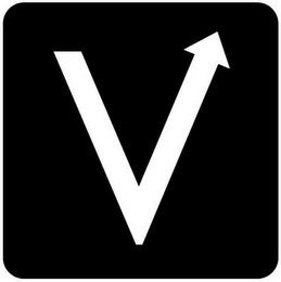 V logo