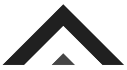 V logo
