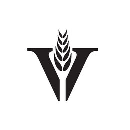 V logo