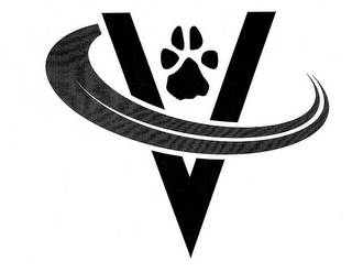 V logo