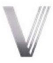 V logo