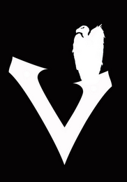 V logo