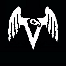 V logo