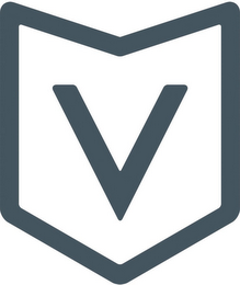 V logo
