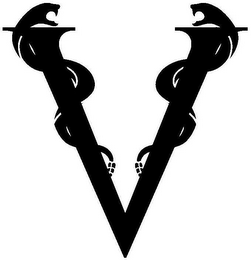 V logo