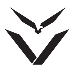 V logo