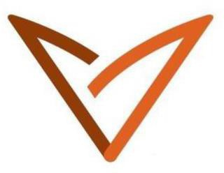 V logo