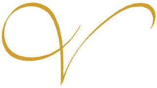 V logo