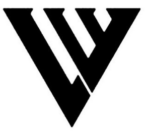 V logo